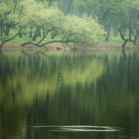 洛川群侠传